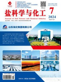 盐科学与化工